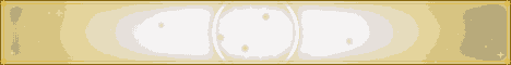 Banner do Site