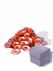 Pet Egg Scroll Box 12