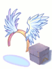 Flying Angel Box
