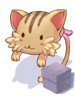 Neko Mimi Box