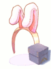 Bunny Band Box