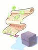 Wind Walk 10 Scroll Box