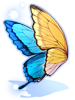 Costume Ulysses Wings