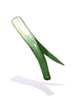 Costume Green Onion in Mouth