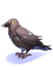 Costume Crow on Shoulder