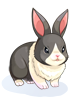 Costume Tuxedo Rabbit