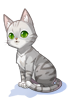 Costume American Shorthair Cat