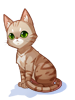 Costume: Bengal Cat