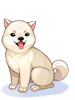 Costume Kishu Dog