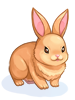 Costume Orange Rabbit