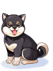 Costume Black Shiba Inu