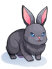 Costume Black Rabbit