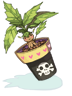 Mandragora Flowerpot
