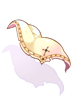 A Piece Of Cloth Of A Saint