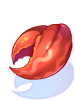 Broken Turtle Shell
