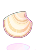 Clam Shell