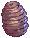 Pupa